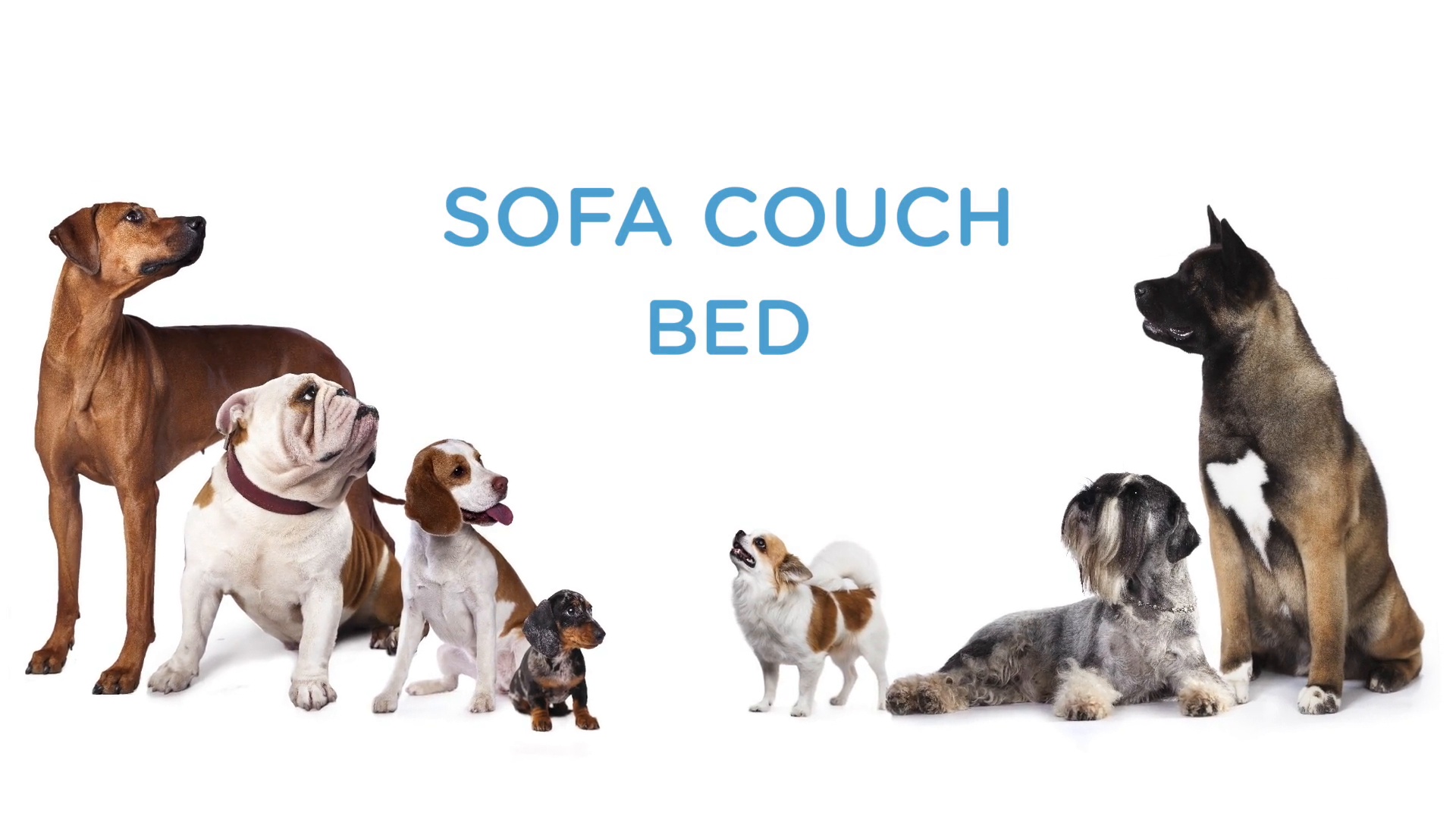 Canine creations outlet sofa bed