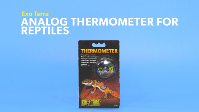 Exo Terra Analog Thermometer For Reptiles Chewy Com