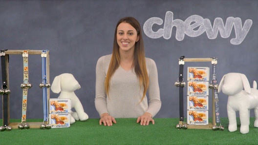 Play Video: Learn More About PoochieBells From Our Team of Experts