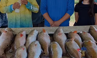 San Antonio Report Video 0