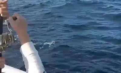 San Jose del Cabo Report Video 0