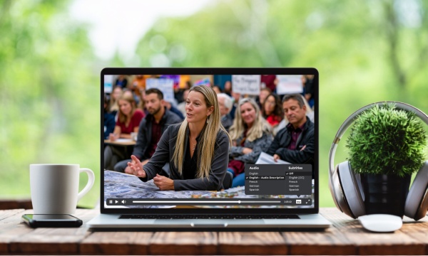 Beyond Captions: Demystifying Audio Descriptions for Government Video Accessibility