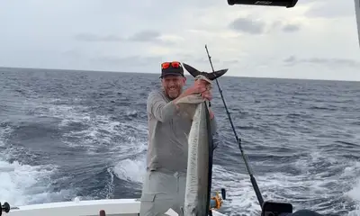 Sandys Report Video 0