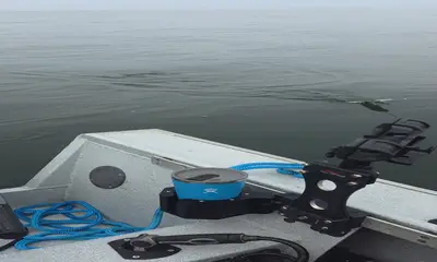 Columbia River Report Video 1