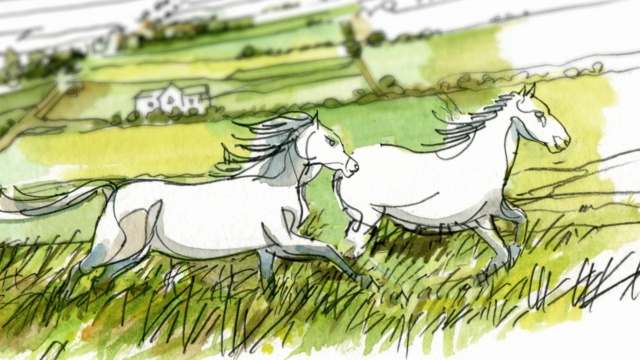 Wistia video thumbnail