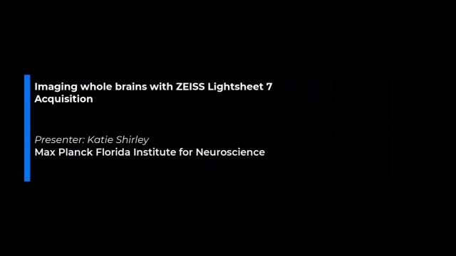 Tutorial: Acquiring whole brain images on the Lightsheet 7