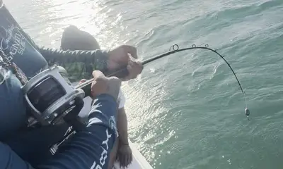 Reporte de Stock Island Video 2