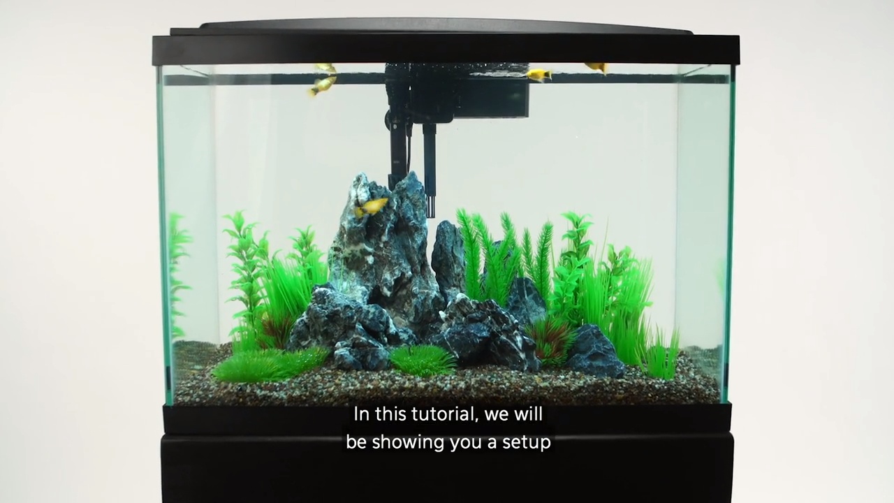 Ten gallon outlet fish tank