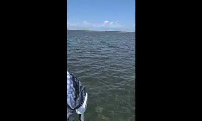 Carrabelle Video Report 0