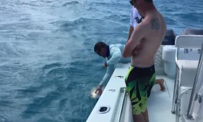 Key Largo Report Video 0