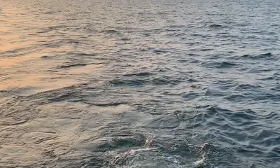 Erie Report Video 1