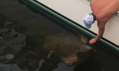 Carolina Beach Report Video 0