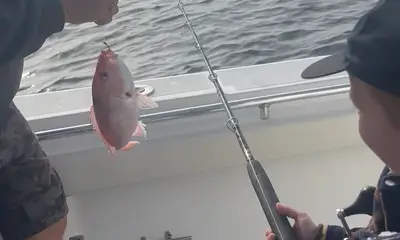 These guys were great!