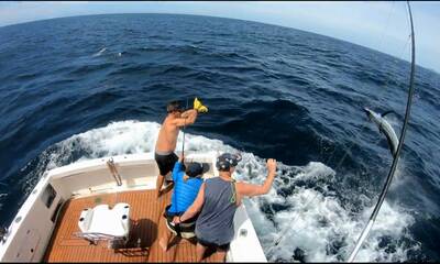 Port Stephens Report Video 0