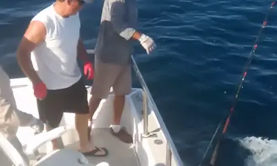 Cabo San Lucas Report Video 0