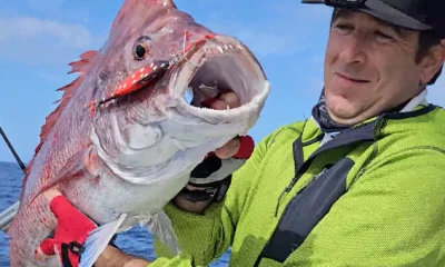 Santiago del Teide Report Video 0