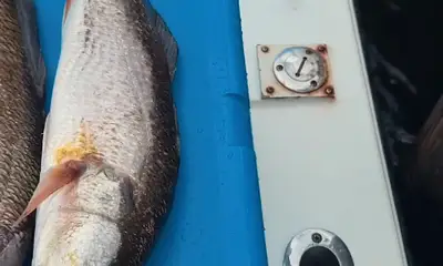 Fishing with Brad