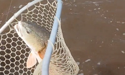 Manteo Report Video 0