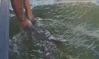 San Juan Report Video 0