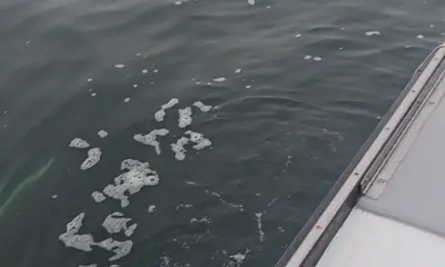 Narragansett Report Video 0