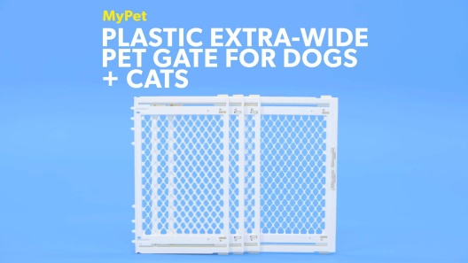 Play Video: Learn More About MyPet From Our Team of Experts