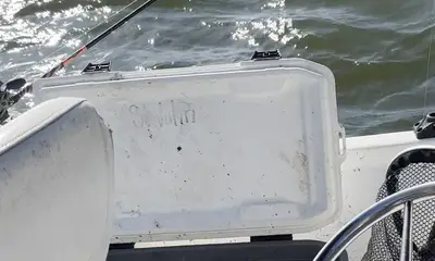 Sadler Видео отчет 0