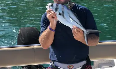 Puerto Vallarta Report Video 2