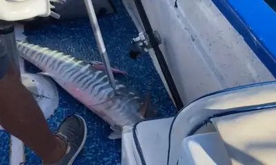 Cabo San Lucas Report Video 0