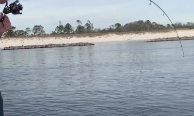 Panama City Beach Report Video 0