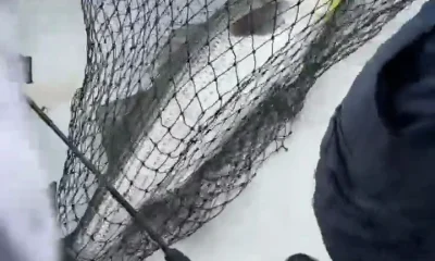 New York City Report Video 0