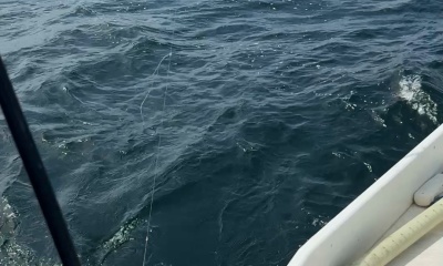 Fishing Captain and Mate, not boatride