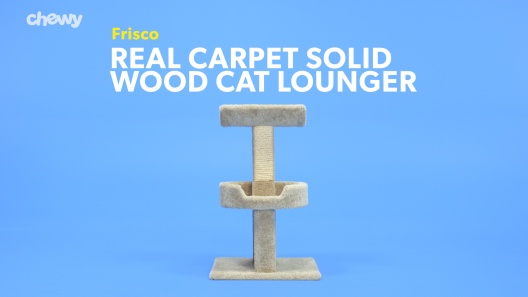 Play Video: Learn More About Frisco From Our Team of Experts