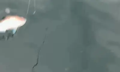 Melbourne Report Video 0