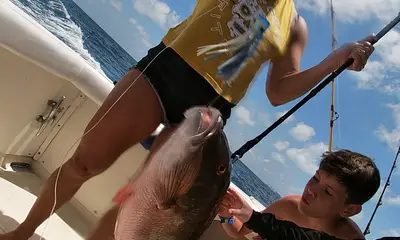 Cancún Report Video 1