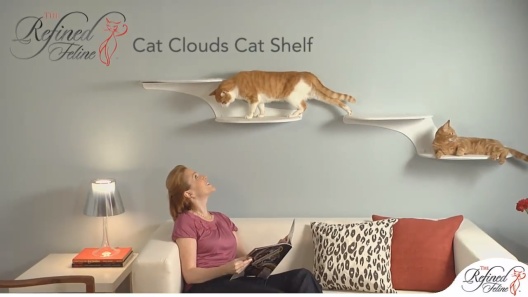 Play Video: Learn More About The Refined Feline From Our Team of Experts