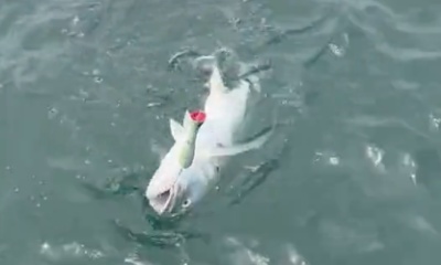 Paquera Report Video 2