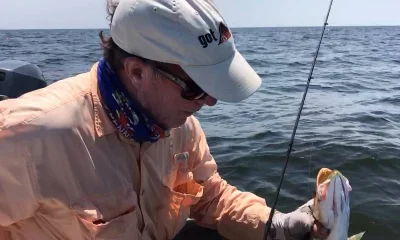 Steinhatchee Bericht Video 0