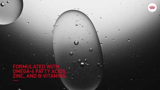 Royal Canin Skin & Coat Support Soft Chews Supplement for Adult Dogs, 60 count