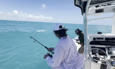 Stock Island Report Video 2