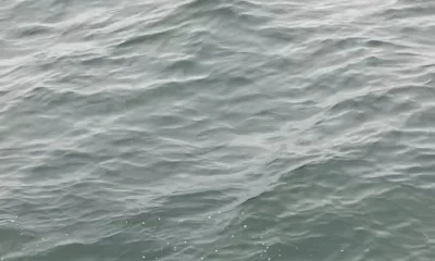 Dana Point Report Video 0