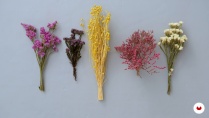 Lesson image