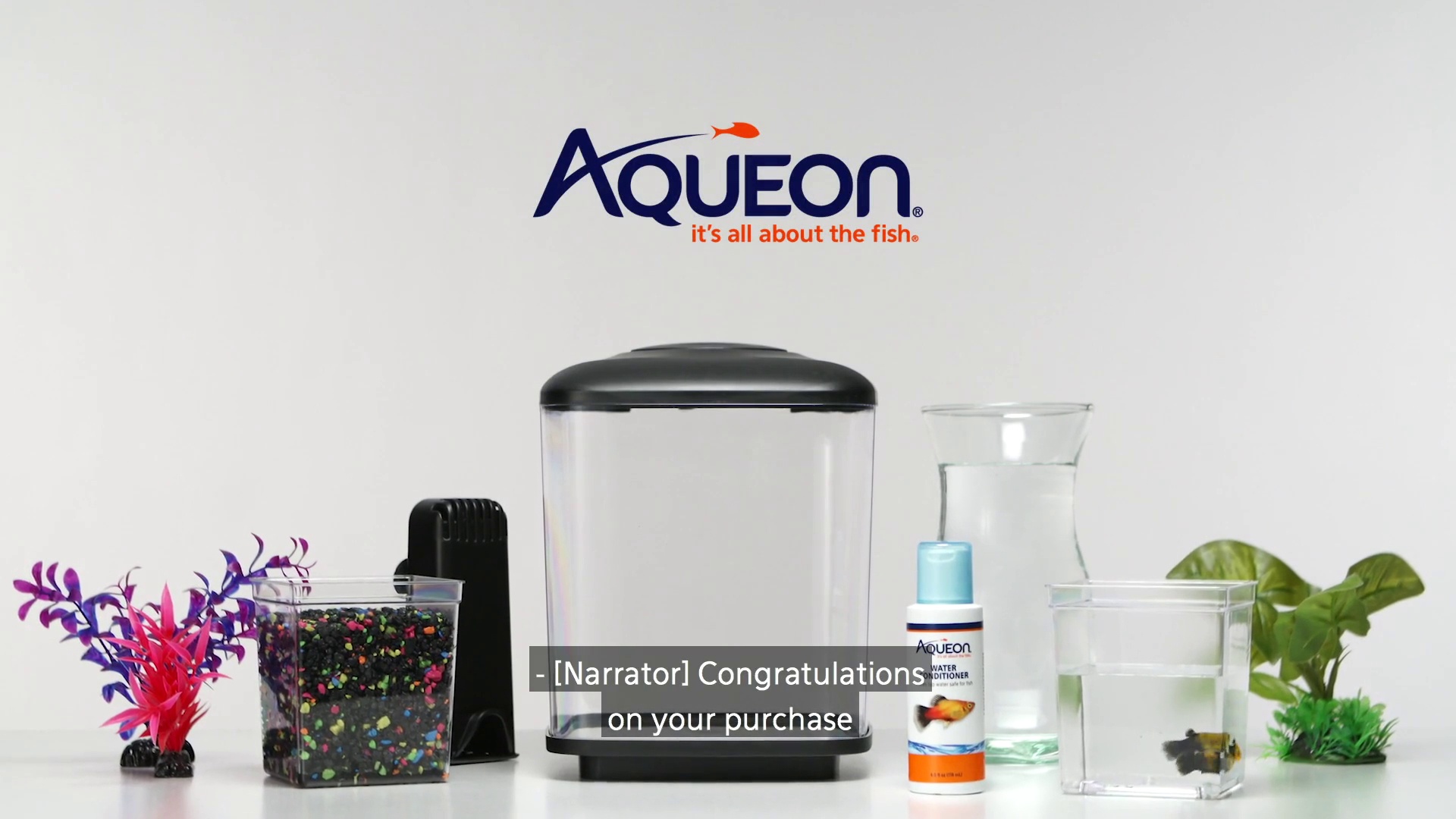 Aqueon best sale mini cube