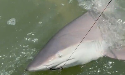 Brigantine Report Video 0