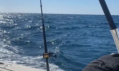 San Diego Report Video 0