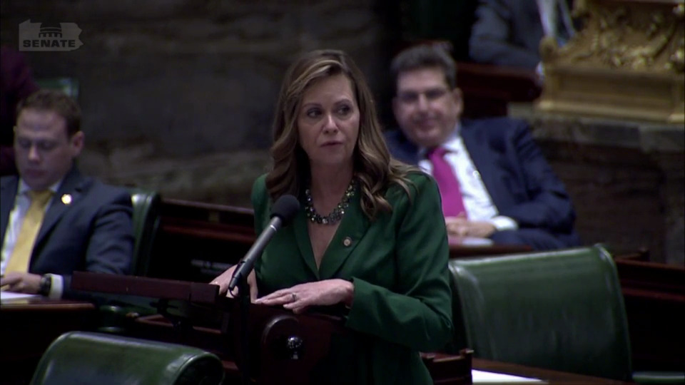 1/11/23 - Remarks on SB 1