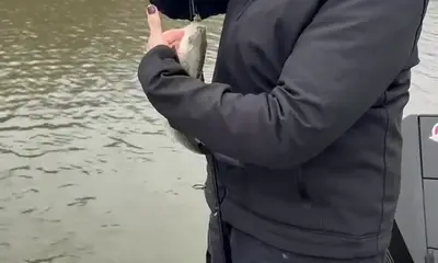 Great oveeall experienxce.