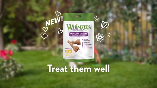 Play Video: Learn More About WHIMZEES From Our Team of Experts