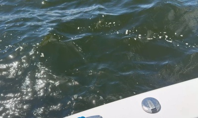 Only Jesus could find more fish!
