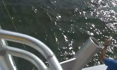 Wanchese Report Video 0