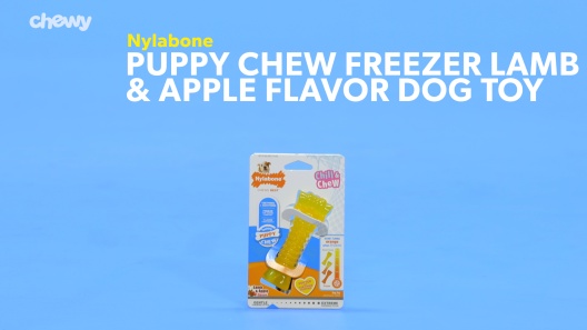 Nylabone Puppy Chew Freezer Dog Toy, Lamb & Apple Extra Large